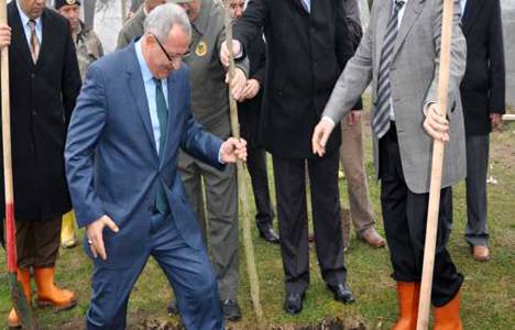 Meriç ve Tunca kıyısında yeni şehir ormanı yapılacak!