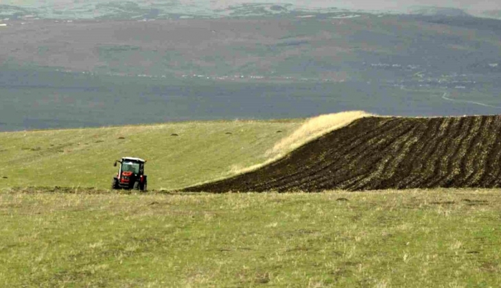 Üretici isyan etti! Tarlada farklı markette farklı
