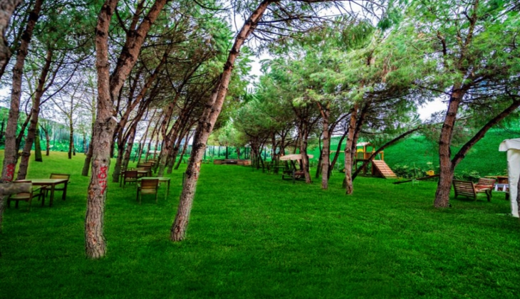 Dap Levent fiyat listesi Ekim 2022! 