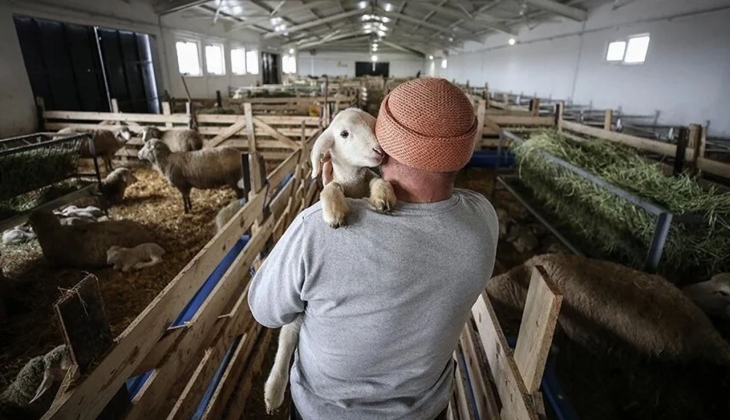 TİGEM personel arıyor! Kamuda çalışmak isteyen ilkokul mezunlarına müjde! Başvurular bitmek üzere elinizi çabuk tutun!
