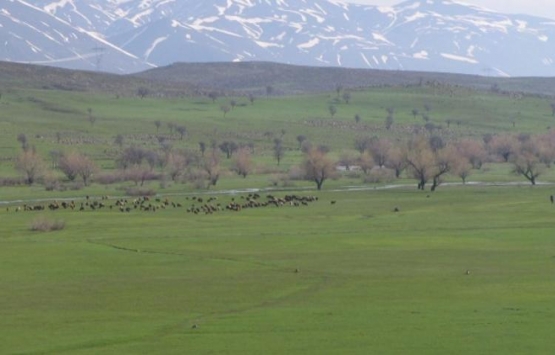4 ildeki 15 ova korumaya alındı!