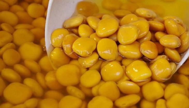 Çiftçiler acil buraya koşun. Bunu ekerseniz cepleriniz para dolacak... Adını belki de ilk defa duyacaksınız 