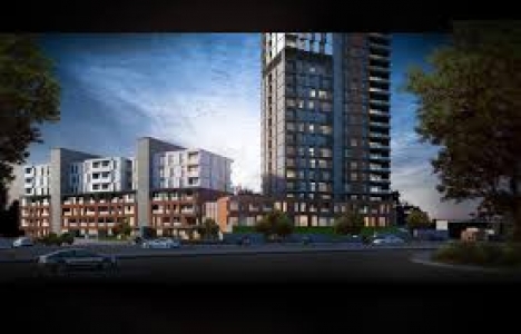 Elit Manzara Beytepe Ankara fiyat!