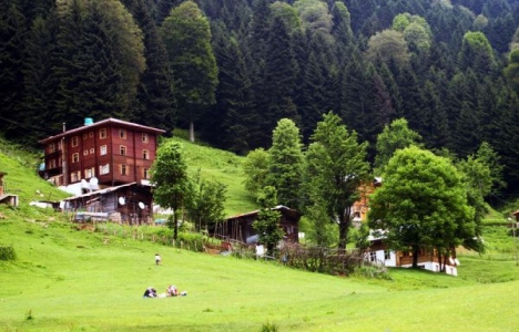 Ayder Yaylası imara açılıyor!