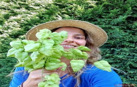 Hepsi grubundan Eren Bakıcı köye yerleşti!