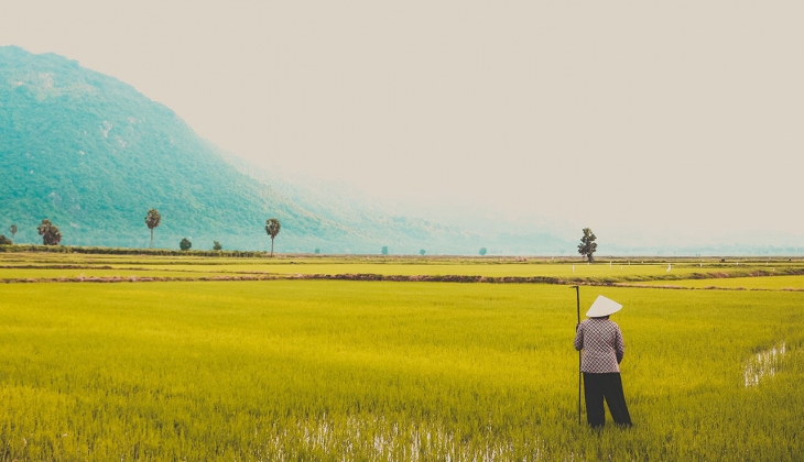 Çiftçilere son dakika müjdesi! 163,1 milyon TL lik tarımsal destek ödemeleri bugün yatıyor! Kalem kalem açıklandı!
