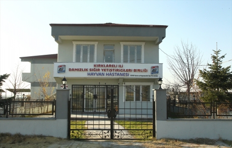 Trakya'nın en donanımlı hayvan hastanesi hizmete başladı!