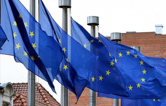 AB'de ticari araç satışları sert düştü!