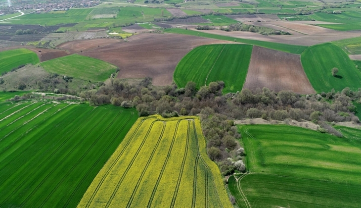 Ne dolar ne de altın... Arsa ve tarla yatırımı yapanlar köşeyi dönecek! Paranız dörde katlanacak!
