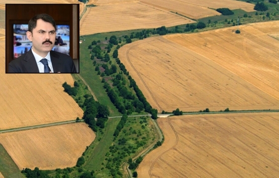 Murat Kurum: Türkiye'de 22 ekolojik koridor kurulacak!