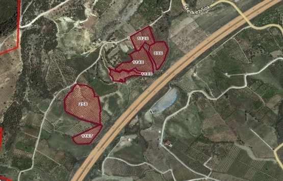 Mersin Toroslar'da 8.9 milyon TL'ye icradan satılık zeytinlik!