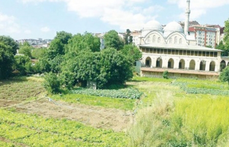 Piyalepaşa Cami önündeki bostanda inşaai faaliyetler duracak!