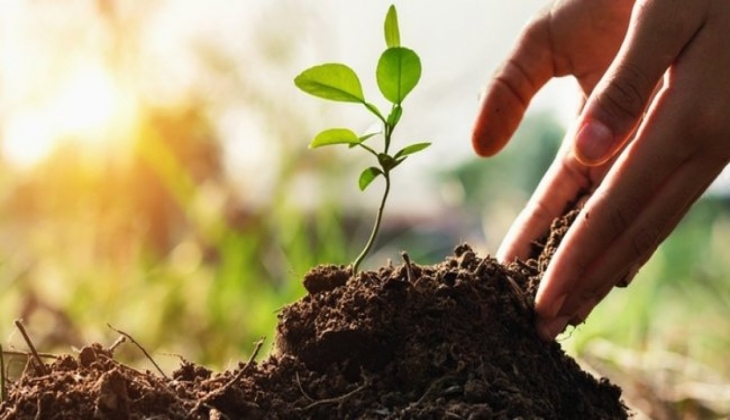 Tarımda güncel gelişme! Bitkisel üretim için izin şart oldu!