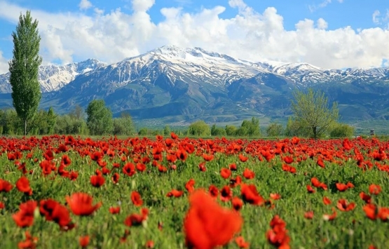 erzincan satılık arsa