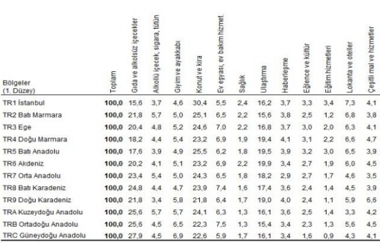 En çok harcamayı konut ve kiraya yapıyoruz!