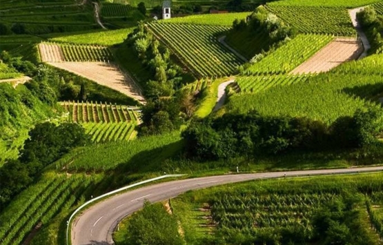 DSİ 4,77 milyon hektar alanda arazi toplulaştırması yapacak!