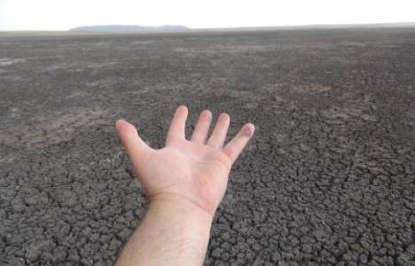 Kuyucuk Kuş Cenneti bataklığa döndü!