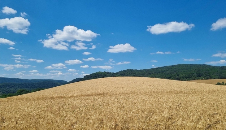 Buğday, arpa, mısır fiyatlarında son dakika depremi! Hangi borsada fiyatlar kaç TL? Rakamlar tek tek açıklandı!