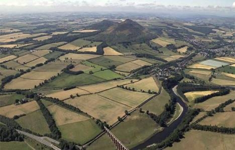 Tarım arazilerinin amaç dışı kullanımına af geliyor!