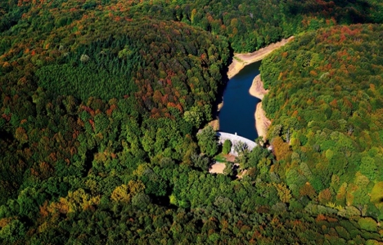İstanbul'a dev kent ormanı kuruluyor!