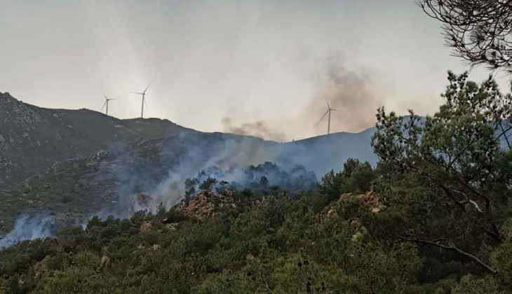 Son Dakika!... Hatay’da gece yarısı orman yangını çıktı