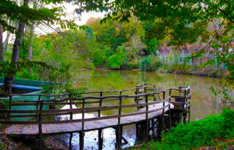 Polonezköy'de Kuzey Ormanları için forum! 