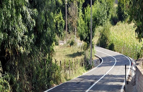 Kocaeli Bağırganlı-Seyrek yolu asfaltlandı!