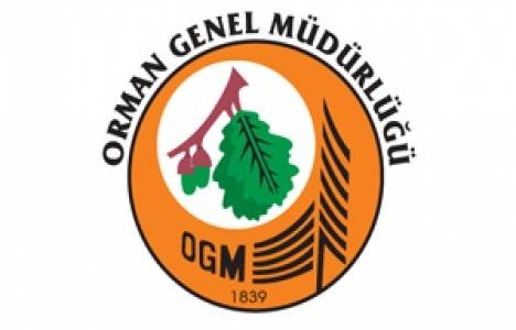 Orman Genel Müdürlüğü taşınmazları satıp kiraya verebilecek!