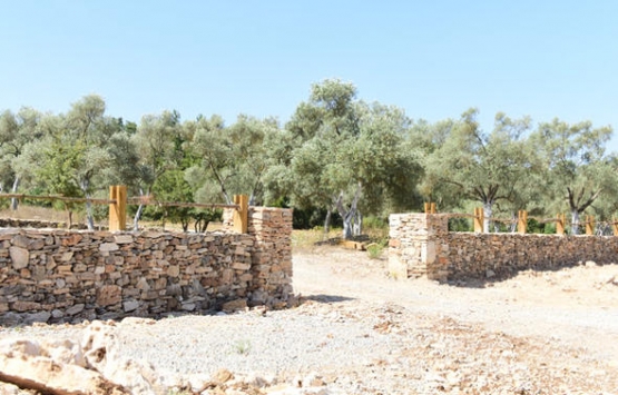 Özlem Tekin in yeni hayatı! Muğla da çiftlik kurdu!