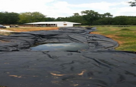 ABD li vatandaş evinin bahçesine göl yaptı!