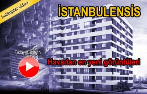 sultanbeyli istanbulensis