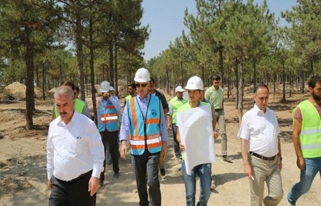 Elazığ Zafran Mesire Alanı yaşam merkezi olacak!