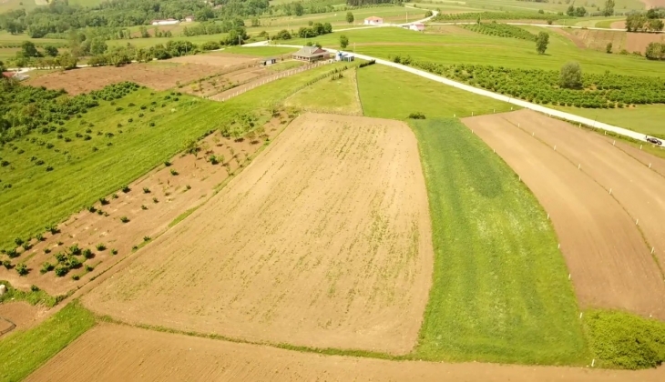 Dönüm nedir? Dönüm nasıl hesaplanır?