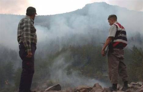 Bolu'da orman yangını çıktı!