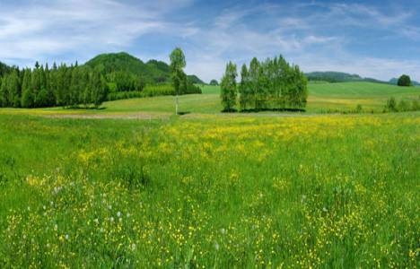 2b arazilerinin korunması!