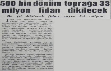 1962 yılında 23 bin dönüm araziye fidan dikilecekmiş!