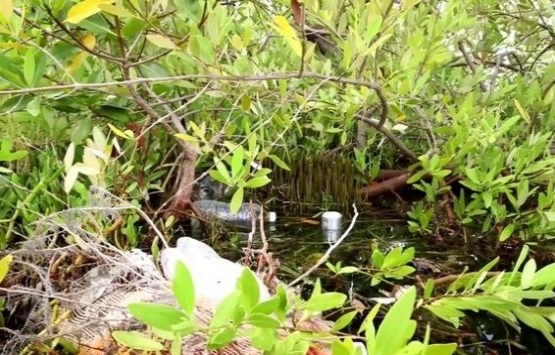 Meksika da 150 bin pet şişe ile ada inşa edildi!