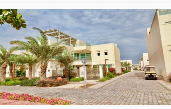 BAE 354 milyon dolarlık bir şehir kuracak!