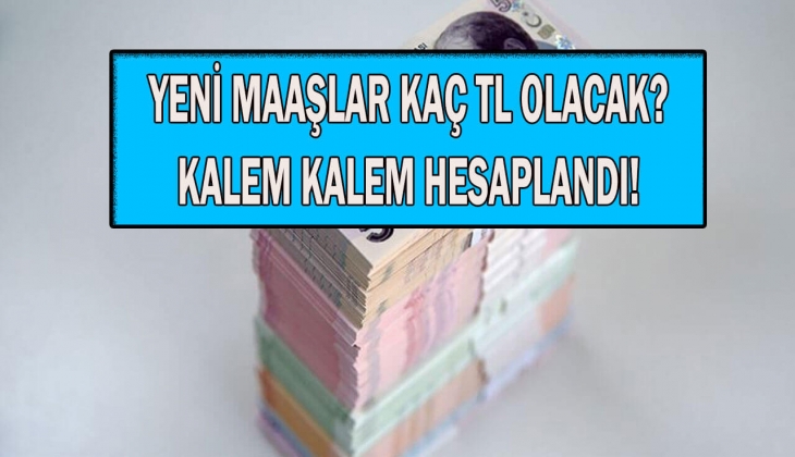 65 yaş aylığı, engelli aylığı, evde bakım parası Ocak zammı peş peşe duyuruldu! Şimdi yeni hesaplanan maaşlara bakın!