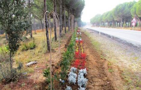Gelibolu Tarihi Milli Parkı'nın yol güzergâhlarına 45 bin fidan dikildi!
