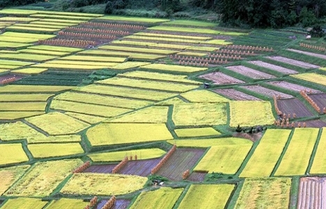 Tarımsal arazilerin mülkiyet devrine düzenleme!
