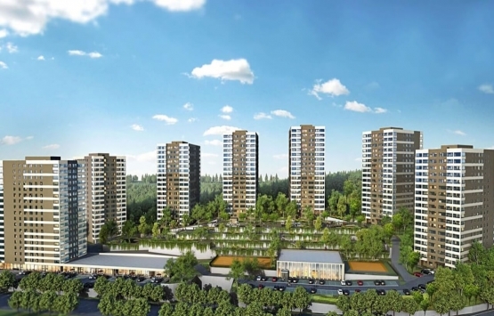 Kaşmir Yonca satılık!