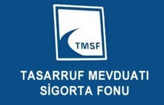 TMSF, Birleşik Varlık Yönetim'in 90 gayrimenkulünü satıyor!