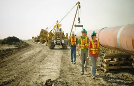Kanada'da boru hattı inşaatından dinazor fosili çıktı!