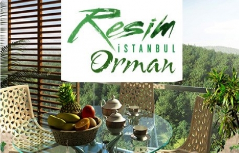 Resim İstanbul Orman fiyatlar!