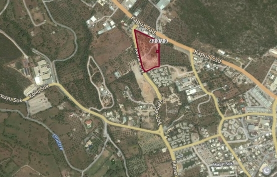 Bodrum'da 14.5 milyon TL'ye icradan satılık incir bahçesi!