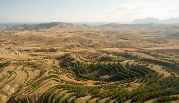 Datça ve Çeşme'de 10 adet arsa ve arazi satılıyor! 570 bin TL'den başlayan fiyatlarla... 