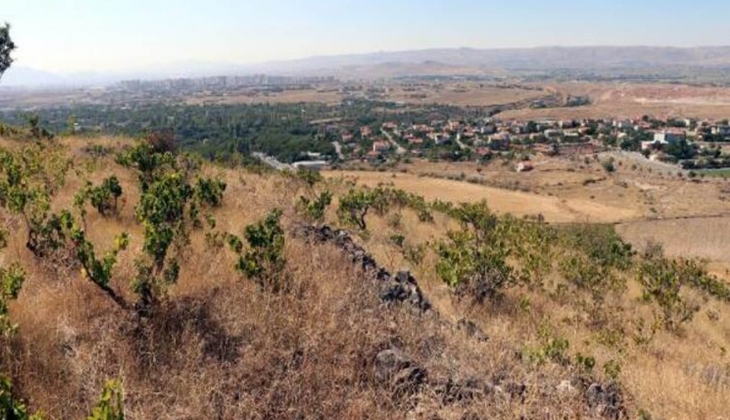 Şehirleşmenin etkisiyle Gesi Bağları sadece türkülerde kalacak! Üzüm bağları yapılaşmaya ve betonlaşmaya terk edildi