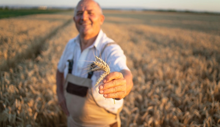Buğday fiyatları bayram öncesi kaç lira oldu? TMO, Edirne, Konya ve Polatlı Ticaret Borsası 7 Temmuz 2022 fiyat listesi