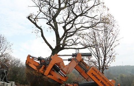 Opitz Siyahkalem Köy projesindeki ağaçları taşıyacak!